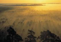 Scene from the film Flight Over Lithuania or 510 Seconds of Silence