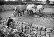 Scene from the film Safari v Čechách