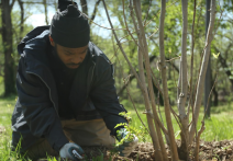 Scene from the film City of Trees